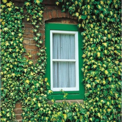  دیگه ندارم حرارت الان موندیم فقط منو یه کبد