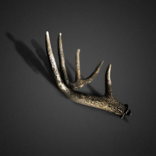 علی سورنا شیب زمان