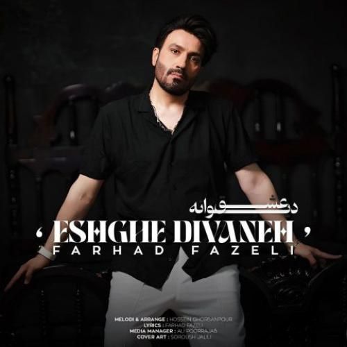 فرهاد فاضلی عشق دیوانه