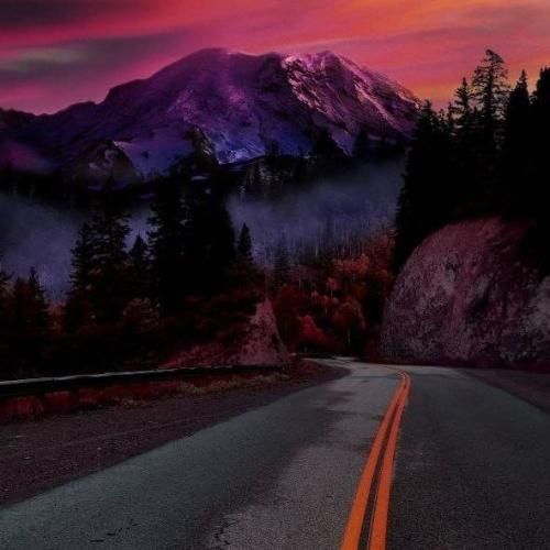  برگرد همه کس من نیستی تنگه هر نفس من