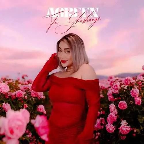 آگرین تو قشنگی