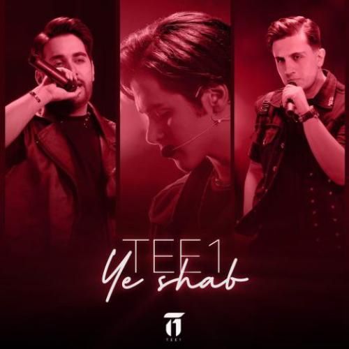 گروه تیوان یه شب