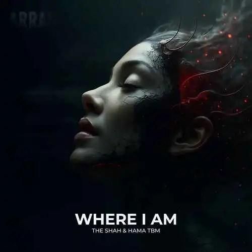 شاهین نجفی ور آی ام