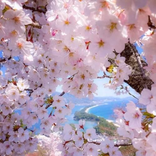  ببین به من دستبند نزن خستم الان ندارم