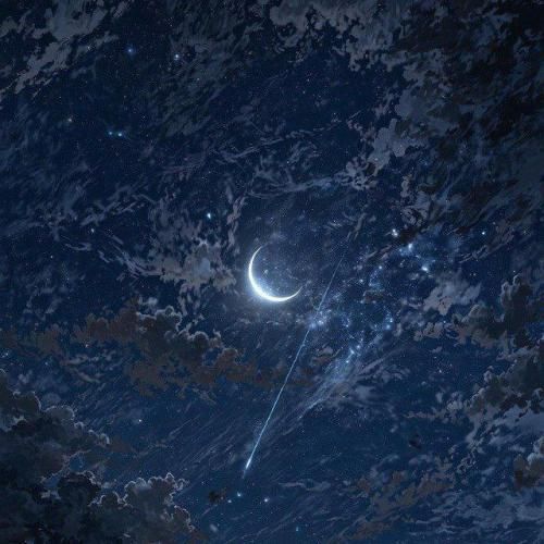 ساشا اس اچ نگو برگرد