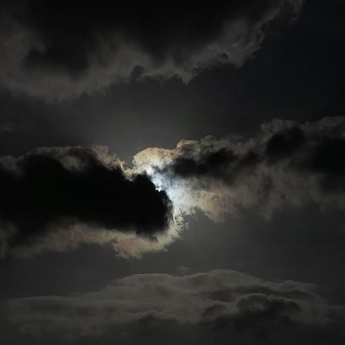  شدم خودم تک و تنها تو این روزایی که میره