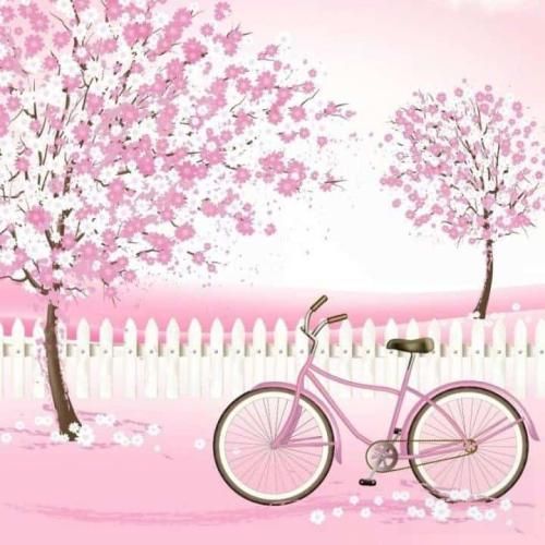  کاتانا چیریکی کتا باز سی دی ای سوزوکی