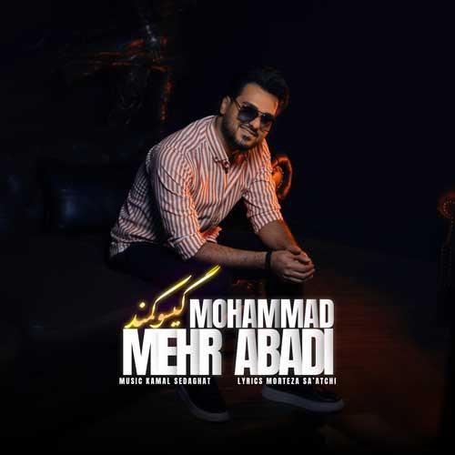 محمد مهرآبادی گیسو کمند