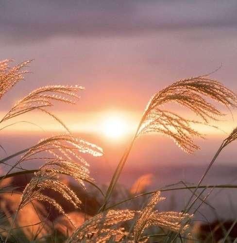  تهش قلبم شکست مگه یارو از ذهنم میرفت