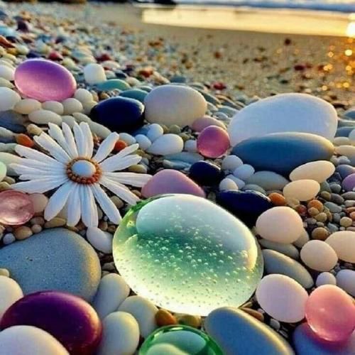 دیگه دروغ نمیگم میخوام برم بمیرم