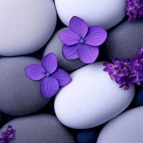  اون لباس مشکیو لبای سرخ چه حالی داشتیم ما دمای صبح