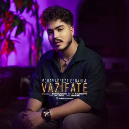 محمدرضا ابراهیمی وظیفته