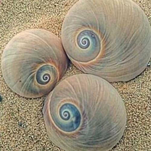 ولی من که شکستم بابا همه رو گذاشتم و رفتم بابا