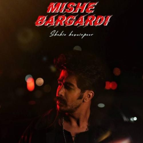 شاهین حسین پور میشه برگردی