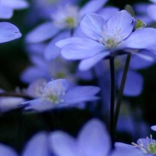 کاش یکی صداش کنه بفهمم اسمش چیه