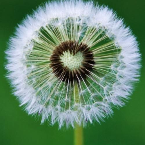 آسمونت ابری شد باز میخوام تورو عین قبل