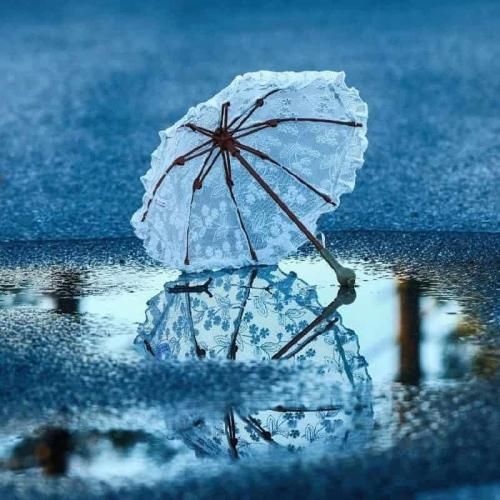 پس کافی ام بگیرم شماره ی دافی ام بگیرم