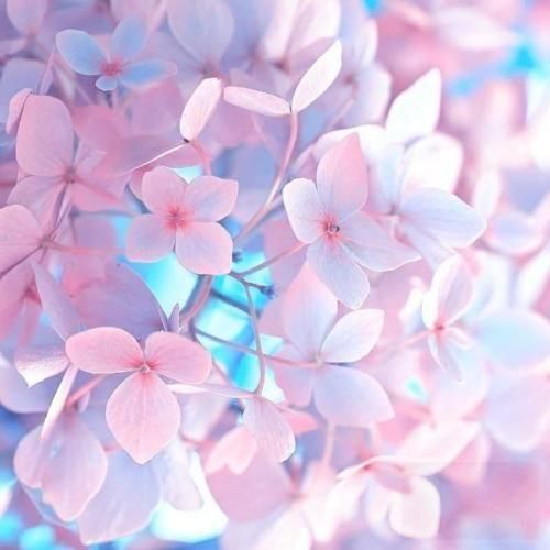 دانلود آهنگ چهار صبح یاد تو میمونم عزیزم با یه بغض دانلود آهنگ چهار صبح یاد تو میمونم عزیزم با یه بغض
