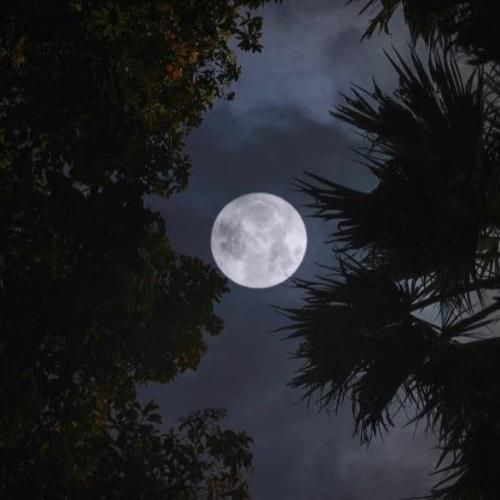 دانلود آهنگ نمیدونم کجا میریم با تو هیچ جا دوراهی نی دست تو دستیمو