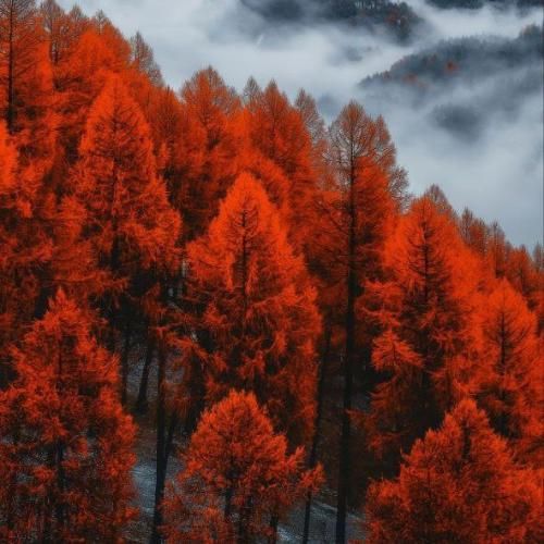 دانلود آهنگ شاه داف تهرون جونم کجایی تو شیطون