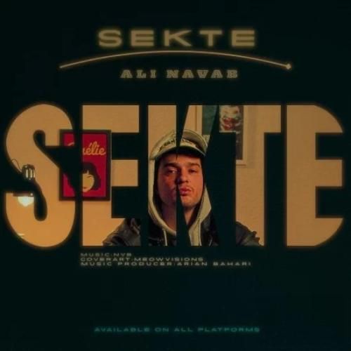 دانلود آهنگ جدید سکته از علی نواب