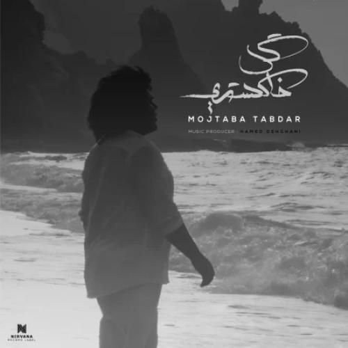 دانلود آهنگ جدید گل خاکستری از مجتبی تابدار