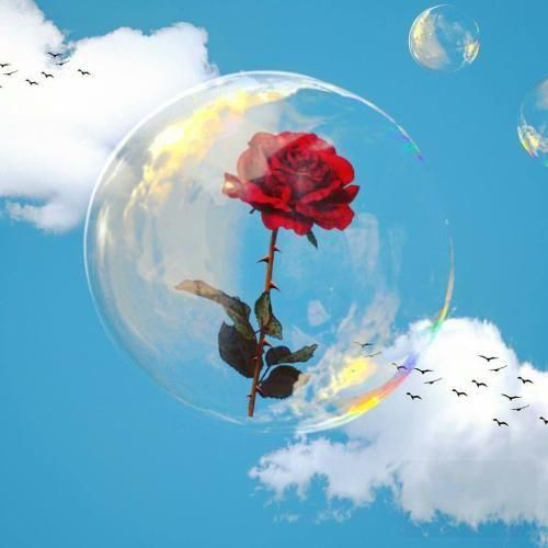 دانلود آهنگ جونمو نثار کردم قربون یار کردم