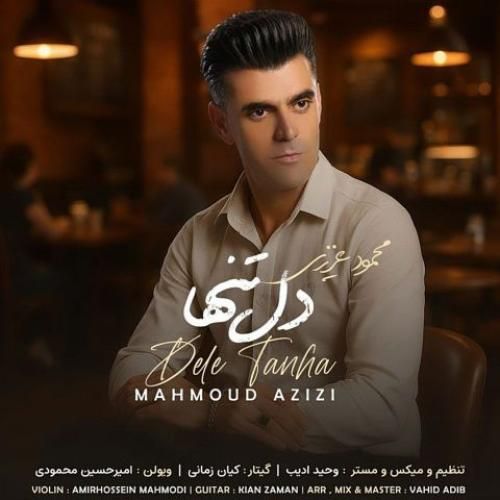 دانلود آهنگ جدید دل تنها از محمود عزیزی