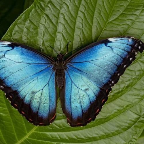 دانلود آهنگ اندازه شاهنامس بدبختیام بنزین ریختم رو خودم