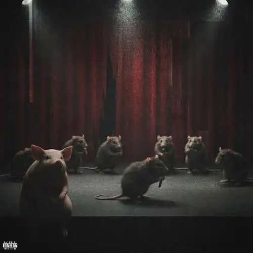 دانیال چکی 2