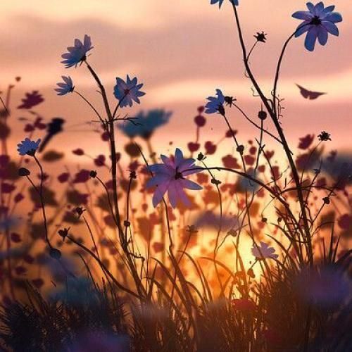  یکم حالم بده کوکین زدم با یه خره