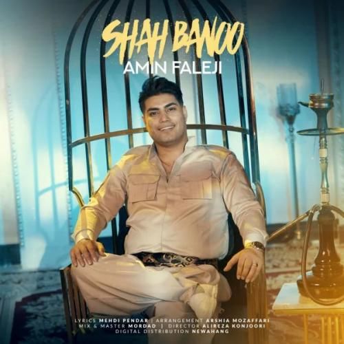 دانلود آهنگ جدید شاه بانو از امین فالجی