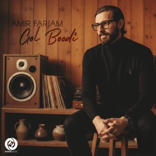 دانلود آهنگ جدید گل بودی از امیر فرجام