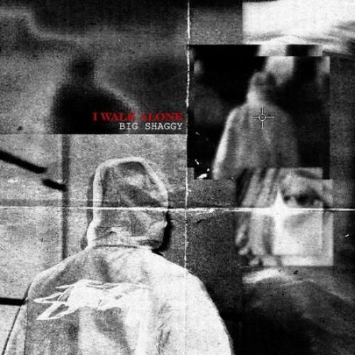 دانلود آهنگ جدید آی واک الون از بیگ شگی