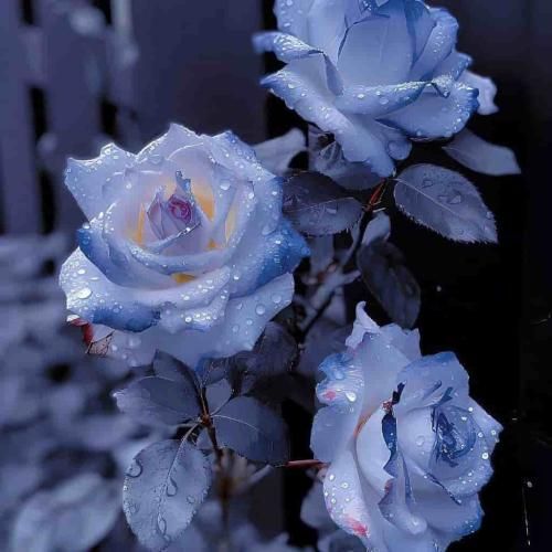 دانلود آهنگ جدید سراب از سنا برزنجه