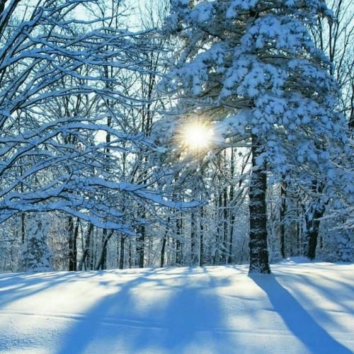  هرزاله گیانه هرزاله بفریک باریوه کس نیه بیماله