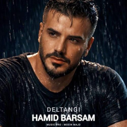 دانلود آهنگ جدید دلتنگی از حمید برسام