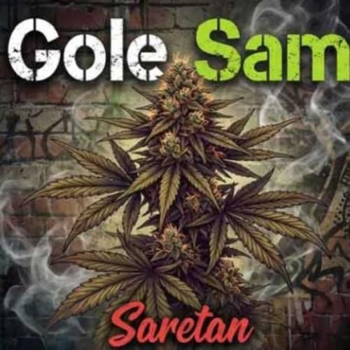 دانلود آهنگ جدید گل سم از آرش سرطان