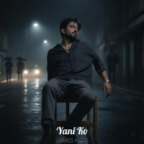 حامد امیری یعنی کو