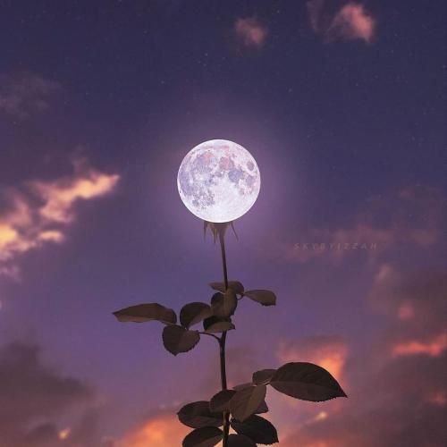 دانلود آهنگ دوتا میندازم تو استخر شالاپ شلوپ دو تا میندازم