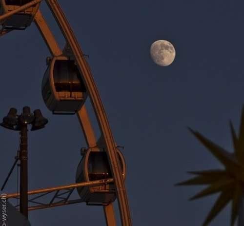  دوباره دل هوای با تو بودن کرده