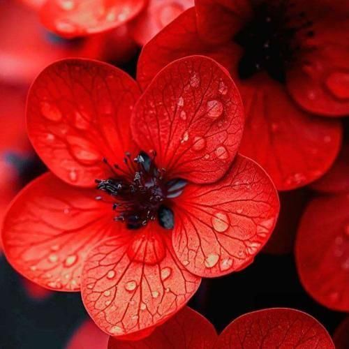 دانلود آهنگ تنها اکسی که من میخام پول اضافیه