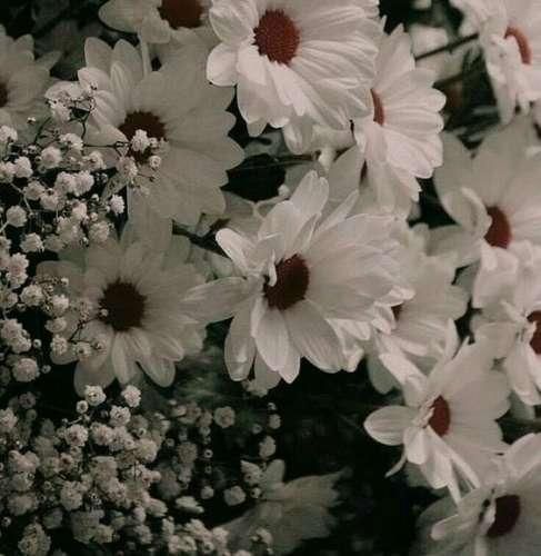  اگه ببینم دور گردنت یک طنابه از سقف آویزونی مهم نیست واسم