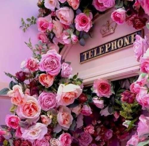  با تو میشه این نصفه کامل همه میگن عشقت