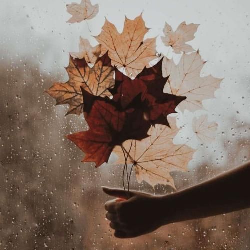 دانلود آهنگ خط به خط میان این شعرا برام