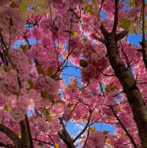  اینجا از سایه و همسایه ی خودم میترسم