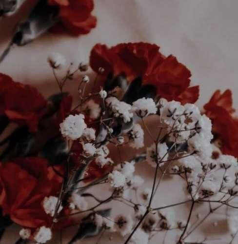 دانلود آهنگ روز بد رفیق نداره روز بد اکیپ نداره