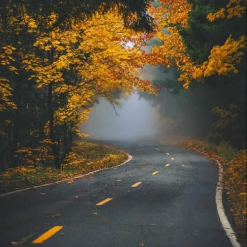  یه جایی دیدمت که موهات بور بود ولی چشم ابرو مشکی