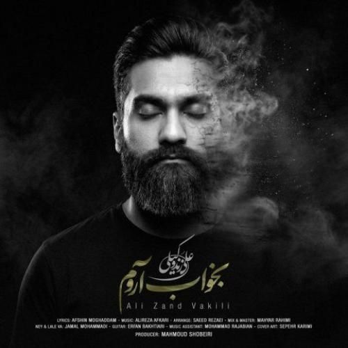 دانلود آهنگ جدید بخواب آروم از علی زند وکیلی