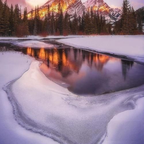 دانلود آهنگ همش تو فکرمه بزارم برم حق بدید یه بارم به من